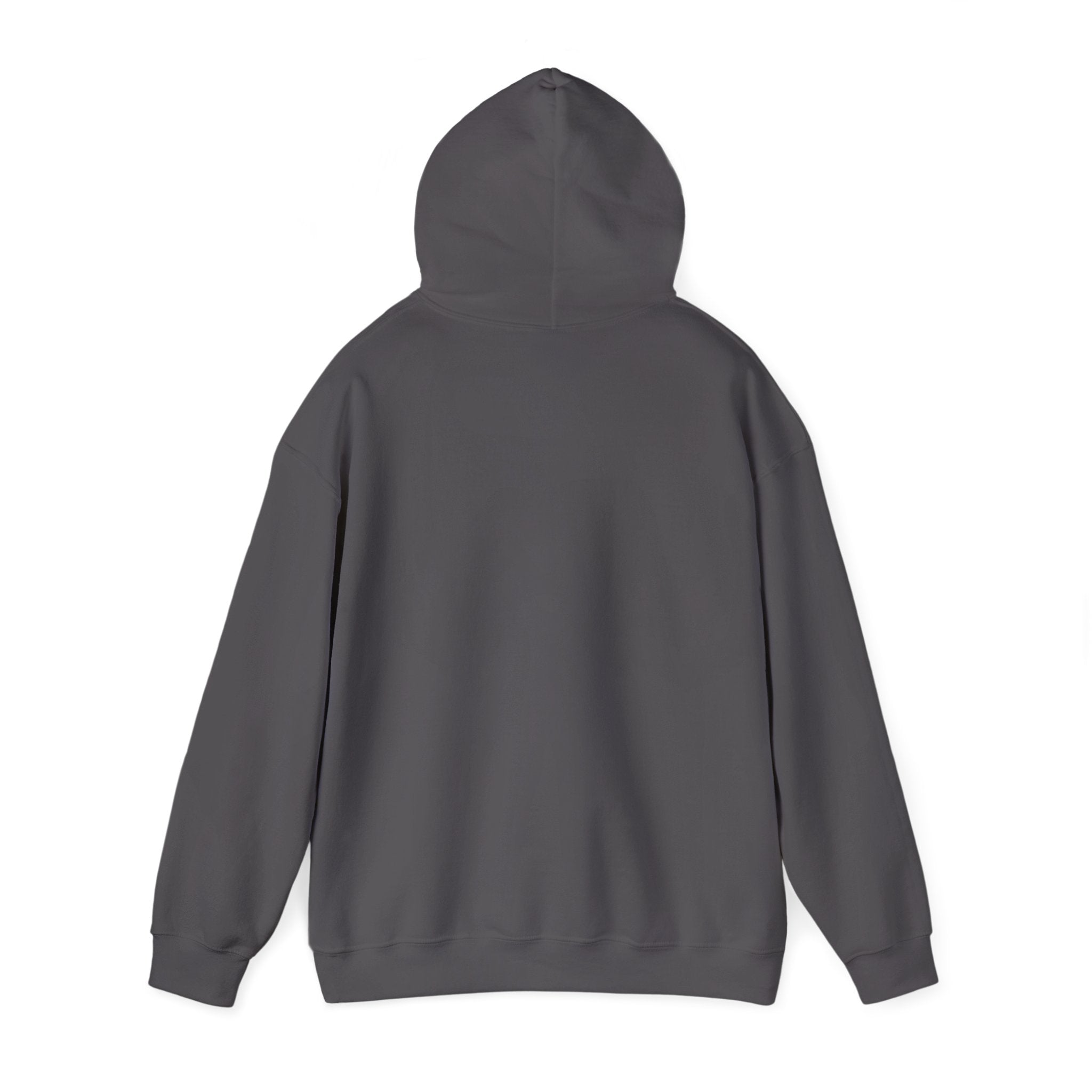 Landavol Hoodie